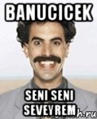 banucicek seni seni seveyrem