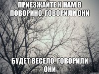 Приезжайте к нам в Поворино, говорили они будет весело, говорили они