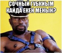 Сочный губкиым кайда екен менын? 