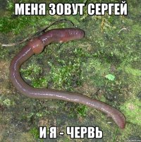 Меня зовут Сергей И я - червь