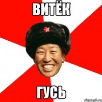 витёк гусь