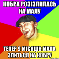 кобра розізлилась на малу тепер 9 місяців мала злиться на кобру