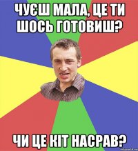 чуєш мала, це ти шось готовиш? чи це кіт насрав?