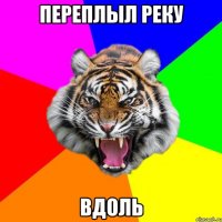 переплыл реку вдоль