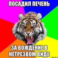 Посадил печень за вождение в нетрезвом виде