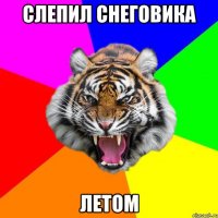 Слепил снеговика летом