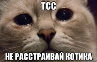 Тсс не расстраивай котика