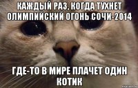 каждый раз, когда тухнет олимпийский огонь Сочи-2014 где-то в мире плачет один котик