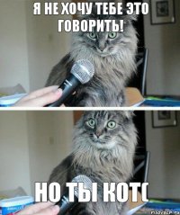 Я не хочу тебе это говорить! Но ты кот(