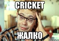 CRICKET ЖАЛКО