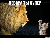 Севара ты супер 