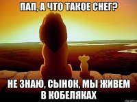 пап, а что такое снег? не знаю, сынок, мы живем в Кобеляках