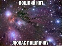 пошлий кот любає пошлячку*