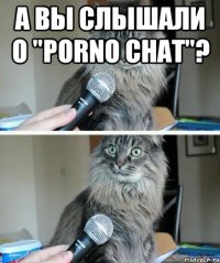 А ВЫ СЛЫШАЛИ О "PORNO CHAT"? 