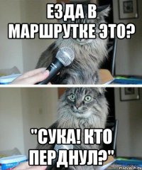 Езда в маршрутке это? "СУКА! Кто перднул?"