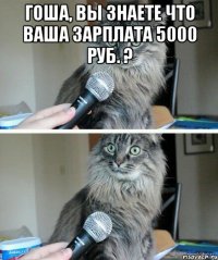 Гоша, вы знаете что ваша зарплата 5000 руб. ? 