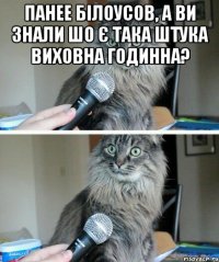 Панее Білоусов, а ви знали шо є така штука виховна годинна? 