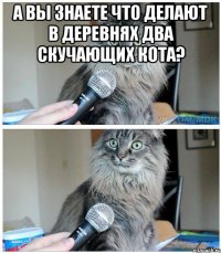 А вы знаете что делают в деревнях два скучающих кота? 