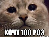  ХОЧУ 100 РОЗ