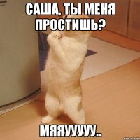 Саша, ты меня простишь? мяяууууу..