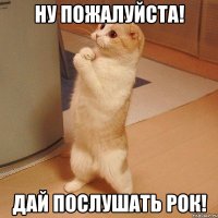 Ну пожалуйста! дай послушать рок!