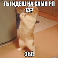 ТЫ ИДЕШ НА САМП РП 14? ЗБС