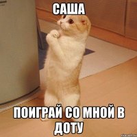 САША поиграй со мной в доту