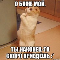 О Боже мой. Ты наконец-то скоро приедешь :*