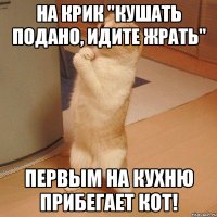 На крик "Кушать подано, идите жрать" первым на кухню прибегает кот!