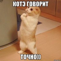 котэ говорит ТОЧНО))