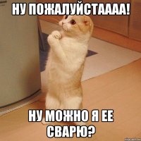 Ну пожалуйстаааа! Ну можно я ее сварю?