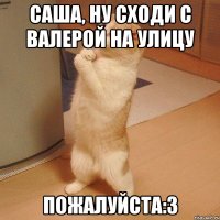 Саша, ну сходи с Валерой на улицу Пожалуйста:3