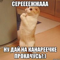 Сереееежжааа ну дай на канареечке прокачусь!:)