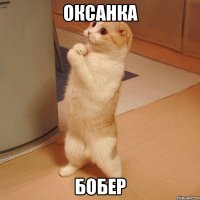 Оксанка Бобер