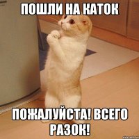 Пошли на каток Пожалуйста! Всего разок!