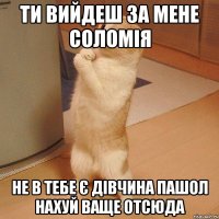 Ти вийдеш за Мене Соломія НЕ В ТЕБЕ Є ДІВЧИНА ПАШОЛ НАХУЙ ВАЩЕ ОТСЮДА