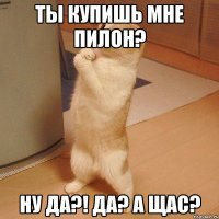 ты купишь мне пилон? ну да?! да? а щас?