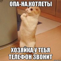 Опа-на,котлеты Хозяйка,у тебя телефон звонит