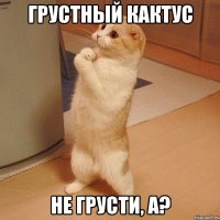 Грустный кактус не грусти, а?