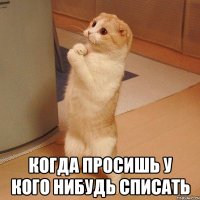  когда просишь у кого нибудь СПИСАТЬ