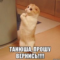  Танюша, прошу вернись!!!!