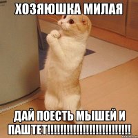 хозяюшка милая ДАЙ ПОЕСТЬ МЫШЕЙ И ПАШТЕТ!!!!!!!!!!!!!!!!!!!!!!!!!!