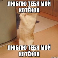 Люблю тебя мой котёнок Люблю тебя мой котёнок