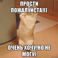 Прости пожалуйста!(( Очень хочу!но не могу(