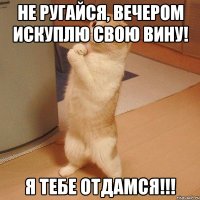 не ругайся, вечером искуплю свою вину! Я тебе отдамся!!!