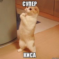 супер киса