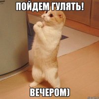 Пойдем гулять! Вечером)