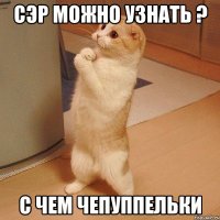 сэр можно узнать ? с чем чепуппельки