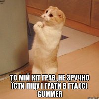  То мій кіт грав ,Не зручно їсти піцу і грати в ГТА (c) Gummer