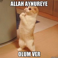 Allah aynureye Olum ver